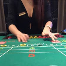 Antarmuka aplikasi wg4d menampilkan pasar taruhan olahraga dan permainan live dealer